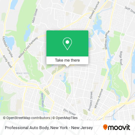 Professional Auto Body map