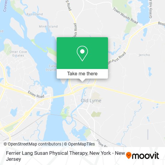 Mapa de Ferrier Lang Susan Physical Therapy