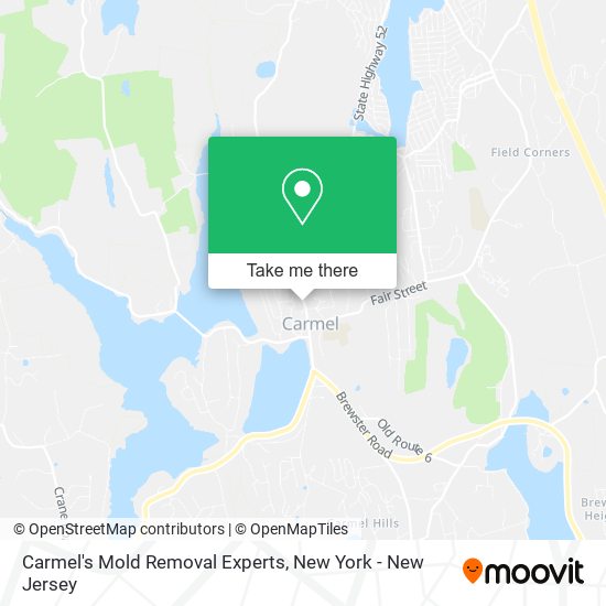 Carmel's Mold Removal Experts map