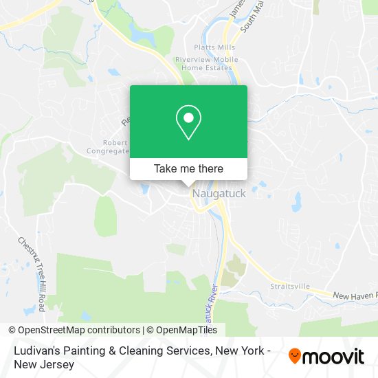 Ludivan's Painting & Cleaning Services map