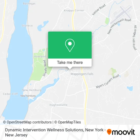 Dynamic Intervention Wellness Solutions map