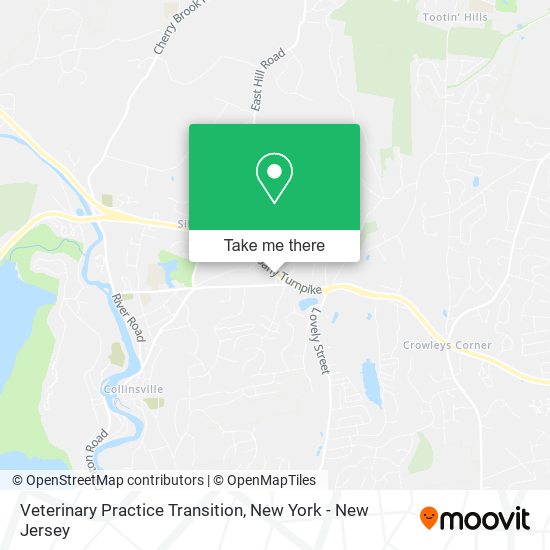 Veterinary Practice Transition map