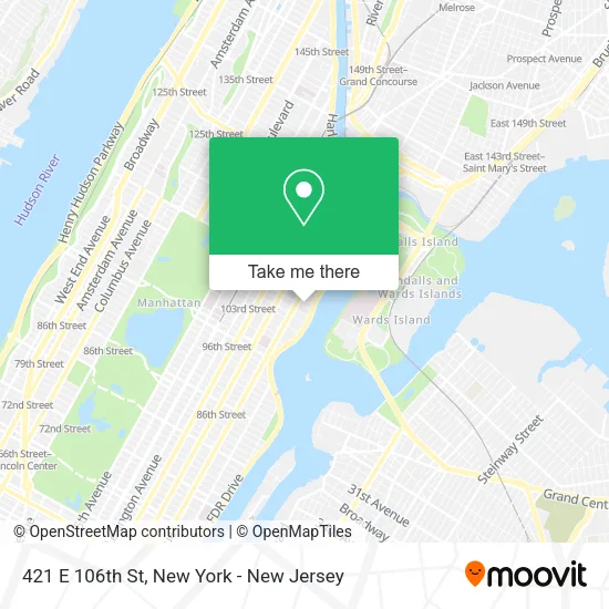 421 E 106th St map