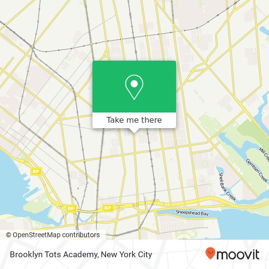 Mapa de Brooklyn Tots Academy