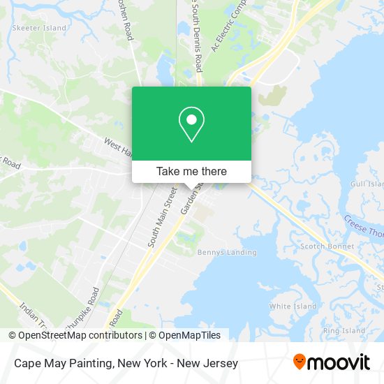 Mapa de Cape May Painting