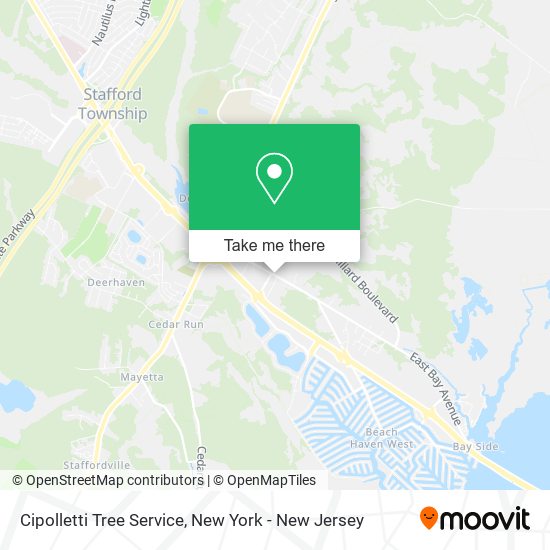 Cipolletti Tree Service map