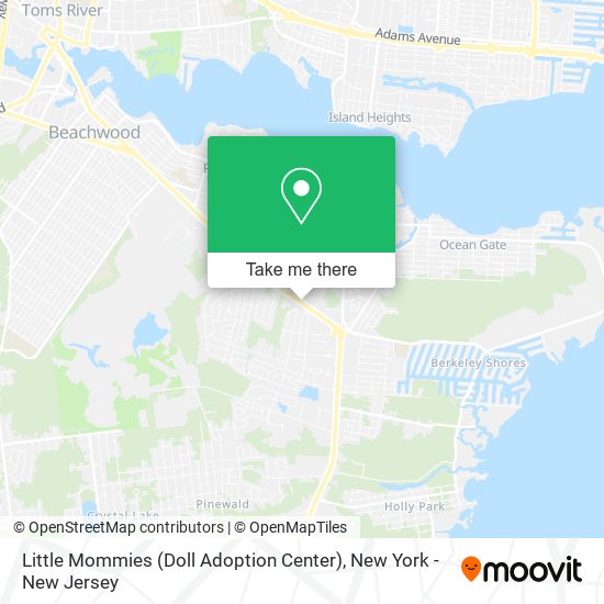 Little Mommies (Doll Adoption Center) map