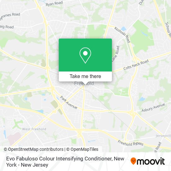 Mapa de Evo Fabuloso Colour Intensifying Conditioner