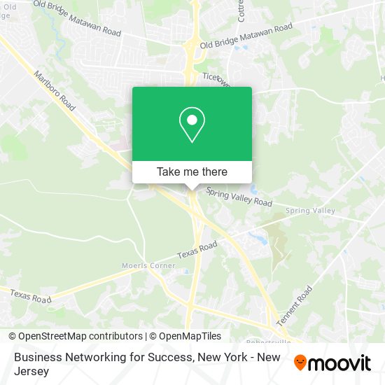 Mapa de Business Networking for Success