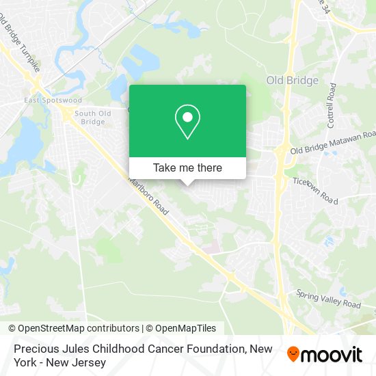 Precious Jules Childhood Cancer Foundation map