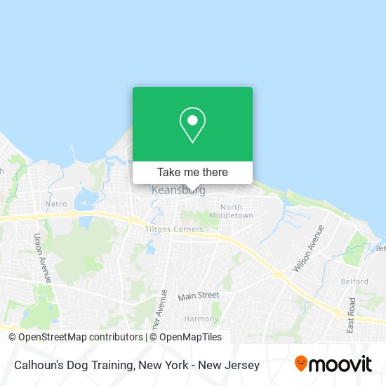 Calhoun's Dog Training map