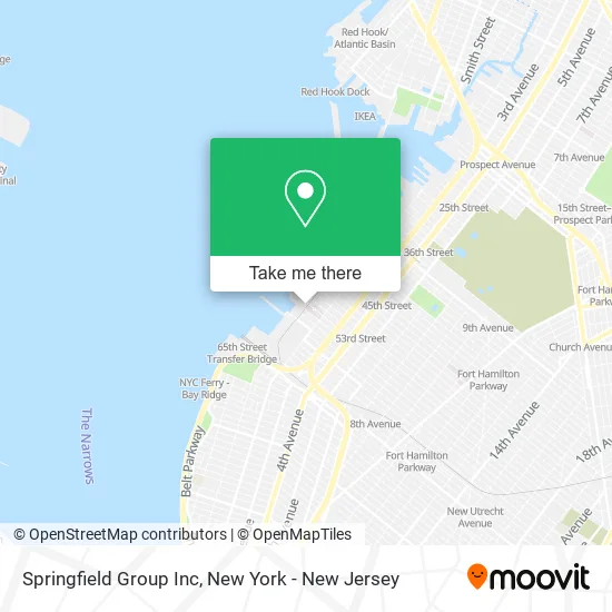 Springfield Group Inc map