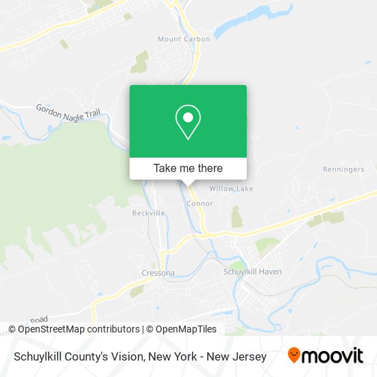 Mapa de Schuylkill County's Vision