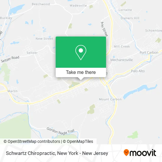Schwartz Chiropractic map