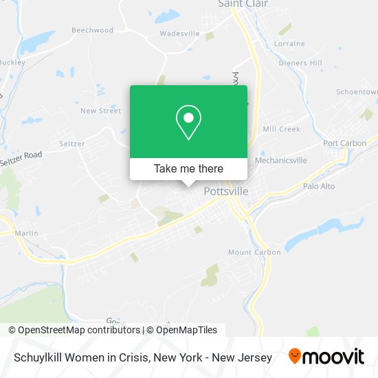 Schuylkill Women in Crisis map