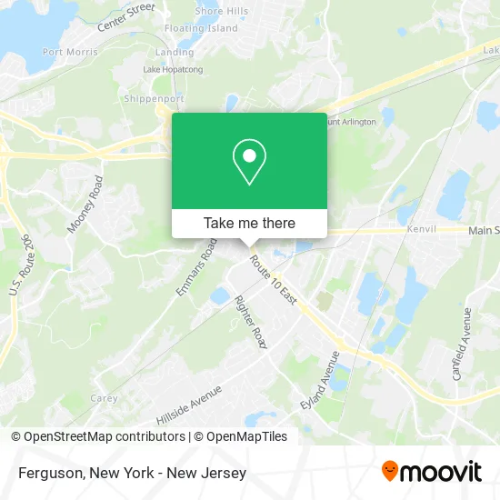 Ferguson map