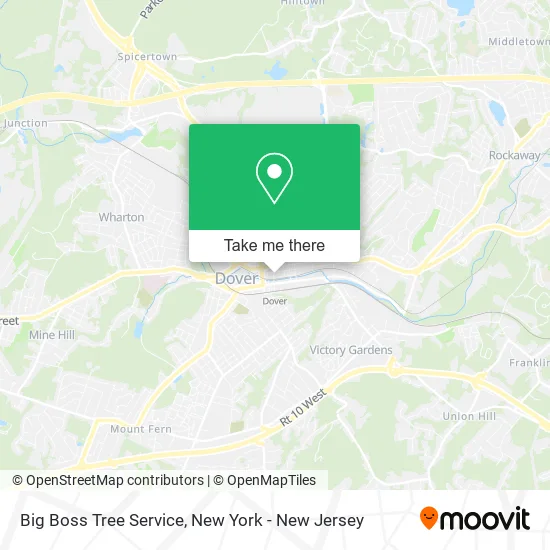 Big Boss Tree Service map