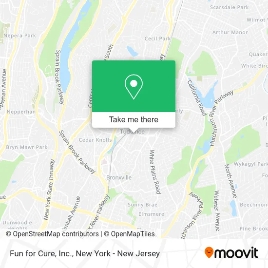 Fun for Cure, Inc. map