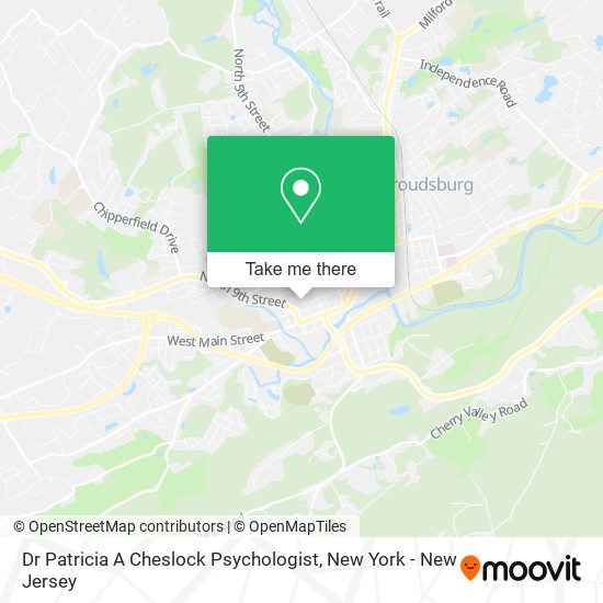 Dr Patricia A Cheslock Psychologist map