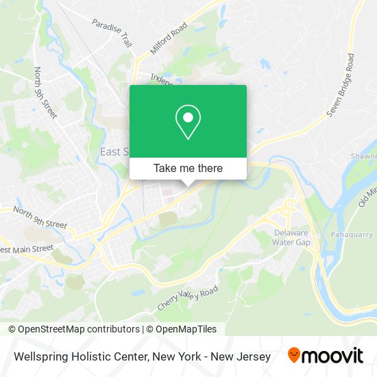 Mapa de Wellspring Holistic Center