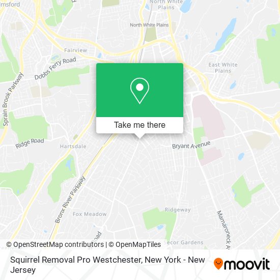 Squirrel Removal Pro Westchester map