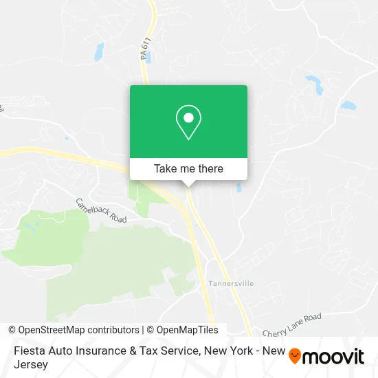 Fiesta Auto Insurance & Tax Service map