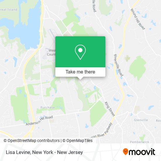 Lisa Levine map