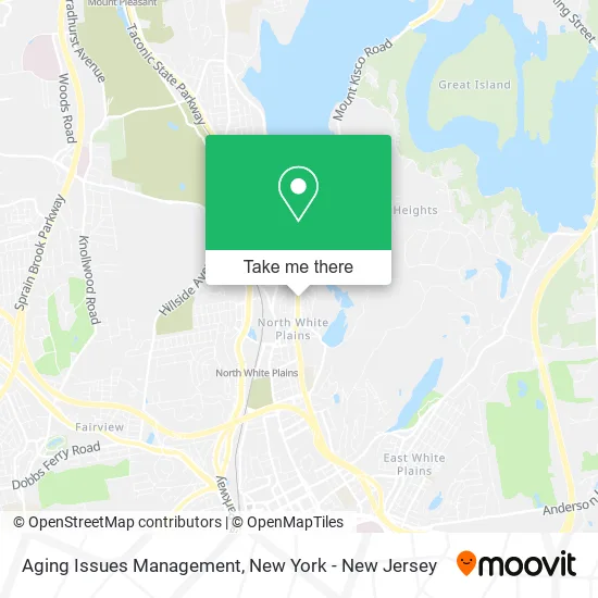 Aging Issues Management map