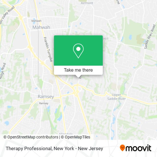 Mapa de Therapy Professional