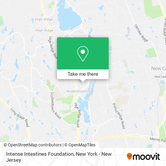 Intense Intestines Foundation map