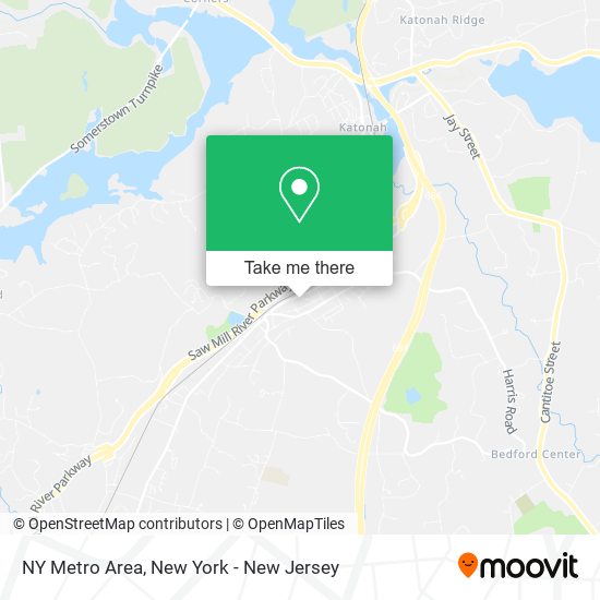 NY Metro Area map