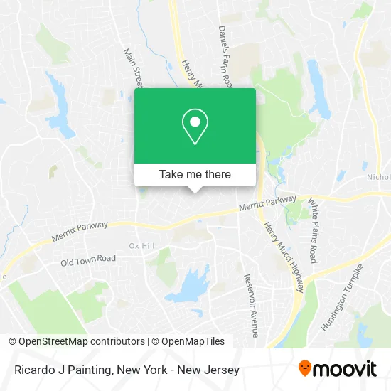 Ricardo J Painting map