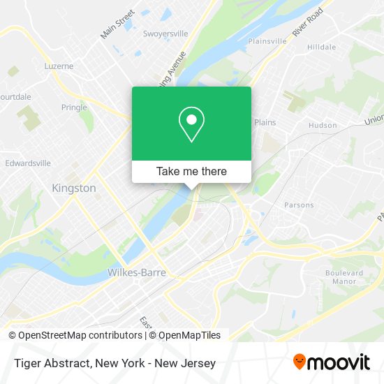 Tiger Abstract map