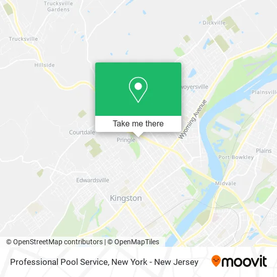 Professional Pool Service map