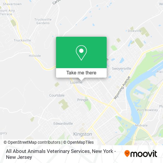 Mapa de All About Animals Veterinary Services