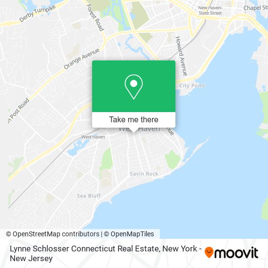 Lynne Schlosser Connecticut Real Estate map