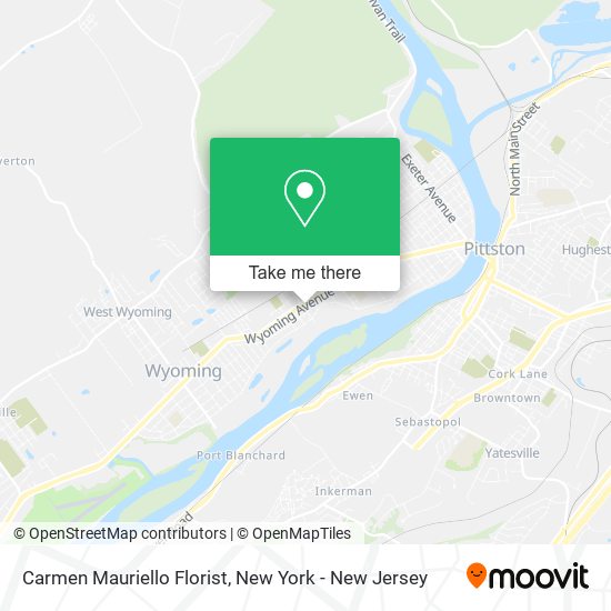 Mapa de Carmen Mauriello Florist