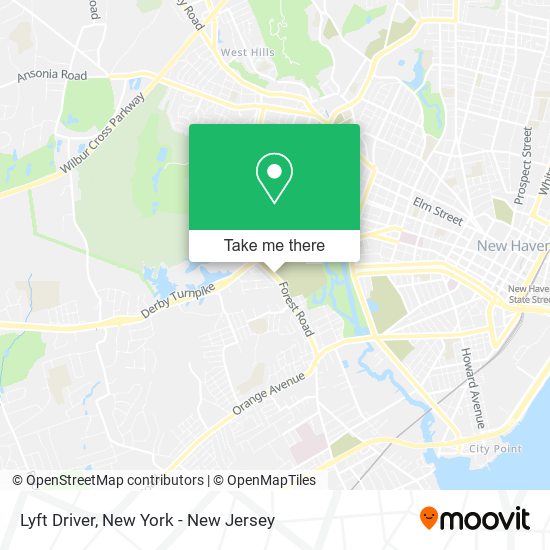 Lyft Driver map