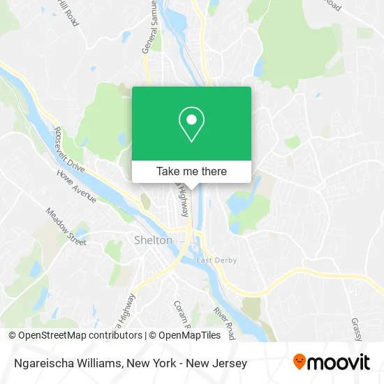 Ngareischa Williams map
