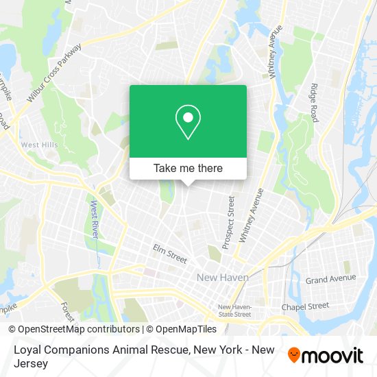 Loyal Companions Animal Rescue map