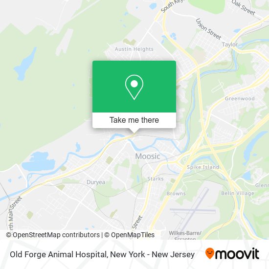 Old Forge Animal Hospital map
