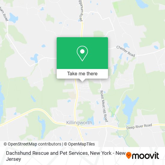 Dachshund Rescue and Pet Services map