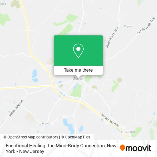 Functional Healing: the Mind-Body Connection map