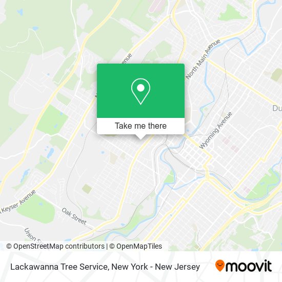 Lackawanna Tree Service map