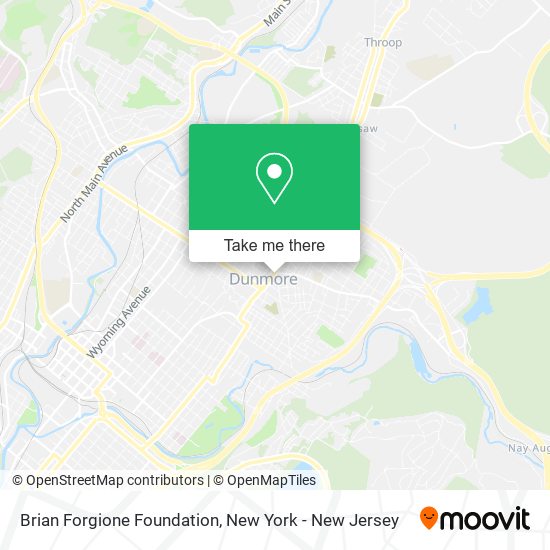 Brian Forgione Foundation map