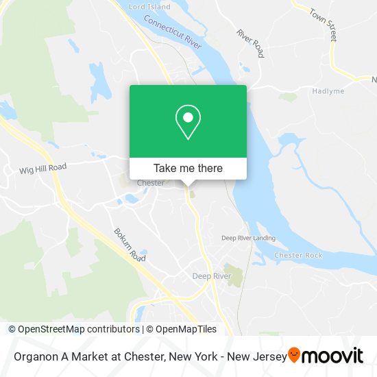 Organon A Market at Chester map