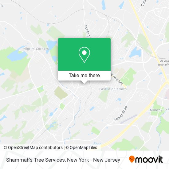 Shammah's Tree Services map