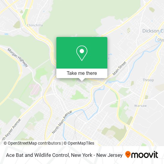 Ace Bat and Wildlife Control map