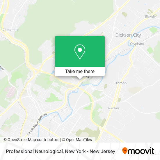 Professional Neurological map