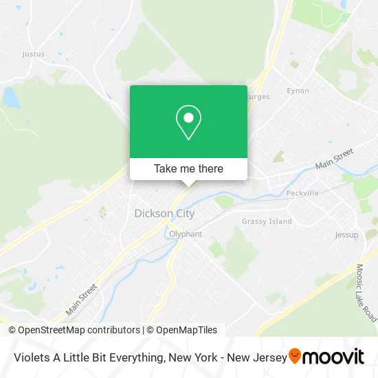 Violets A Little Bit Everything map